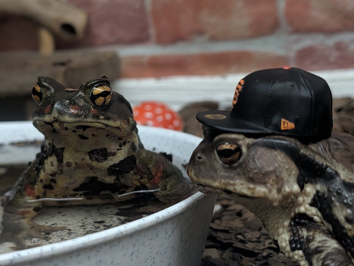 nnnnfffffaa's tweet image. 