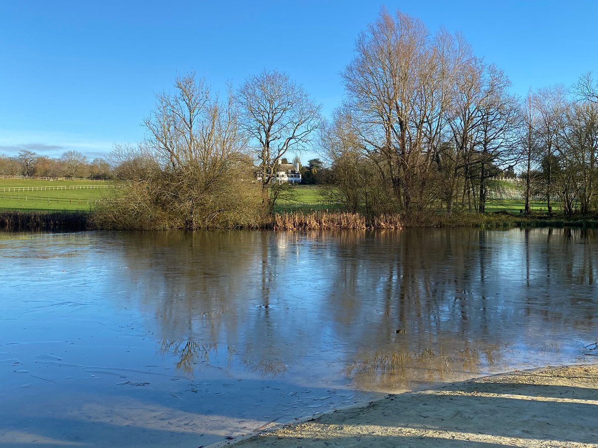 Maxine Howells tweet media