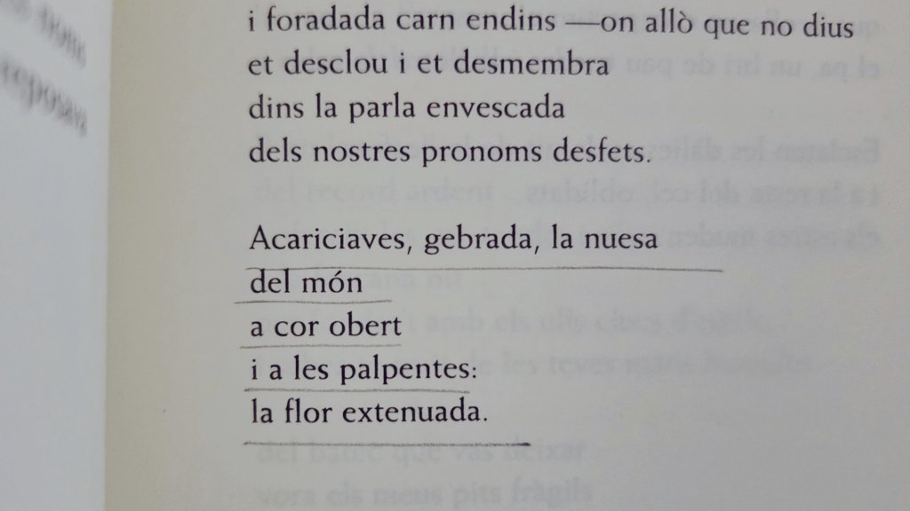 Meritxell Trullàs tweet media