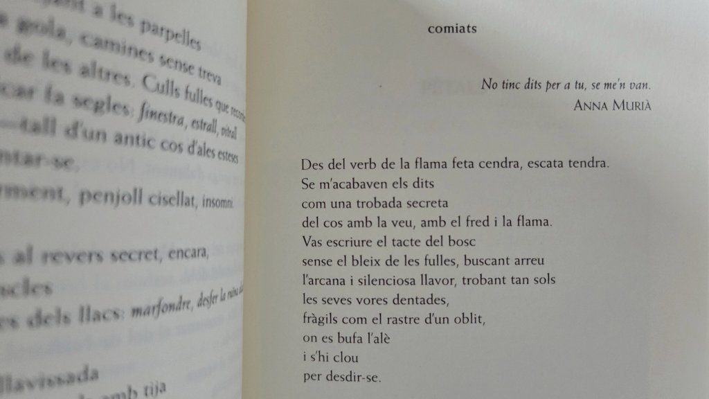 Meritxell Trullàs tweet media