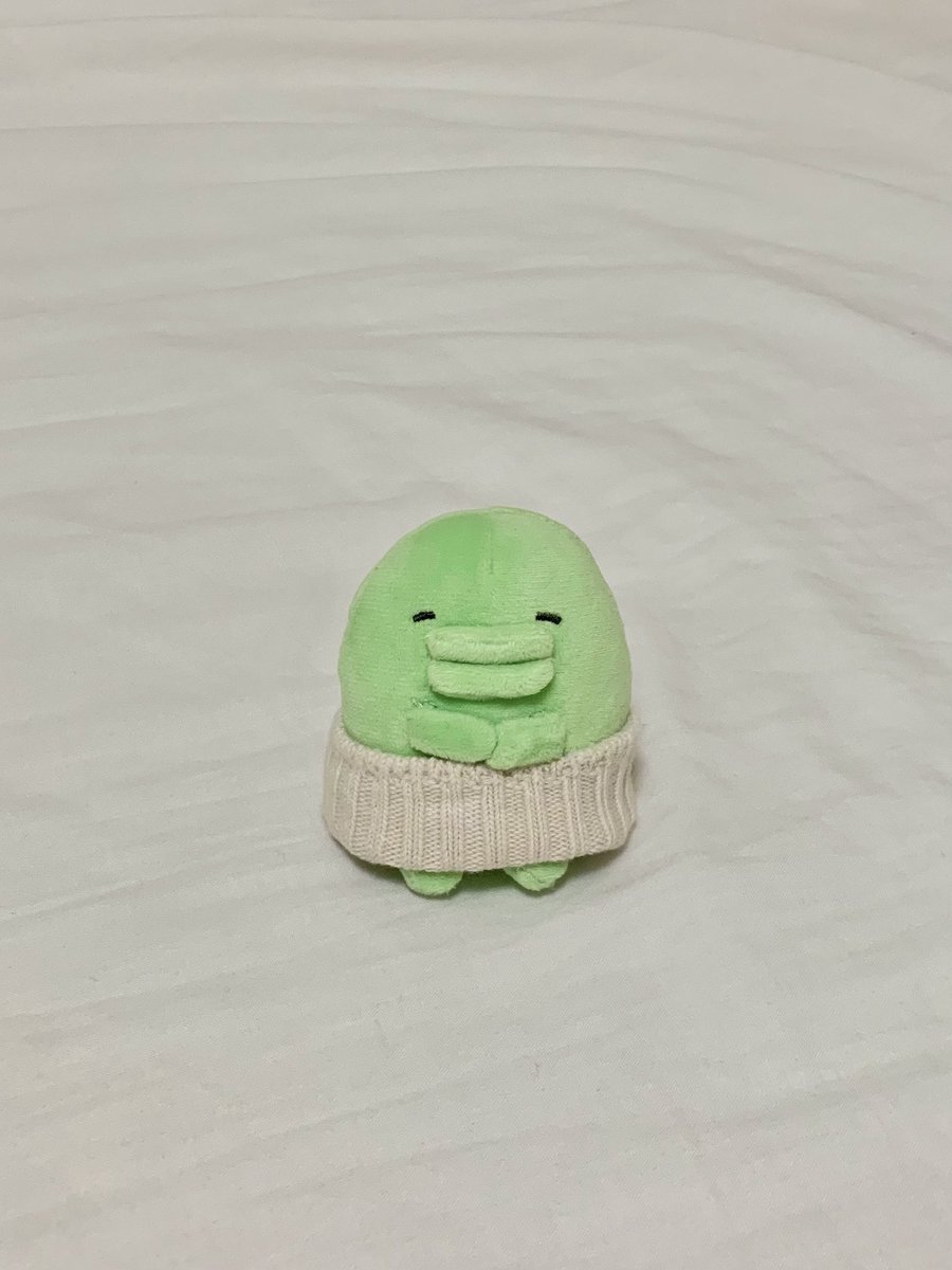 ほのほ tweet media