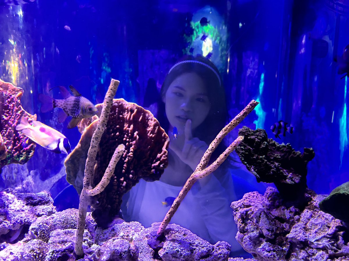 shané 🐈‍⬛ rest tweet media