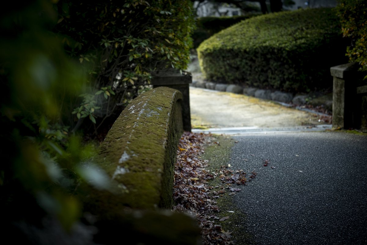 ✍️ #SIGMAfp
sizu.me/nishimura/post…

M-1グランプリ初視聴の日