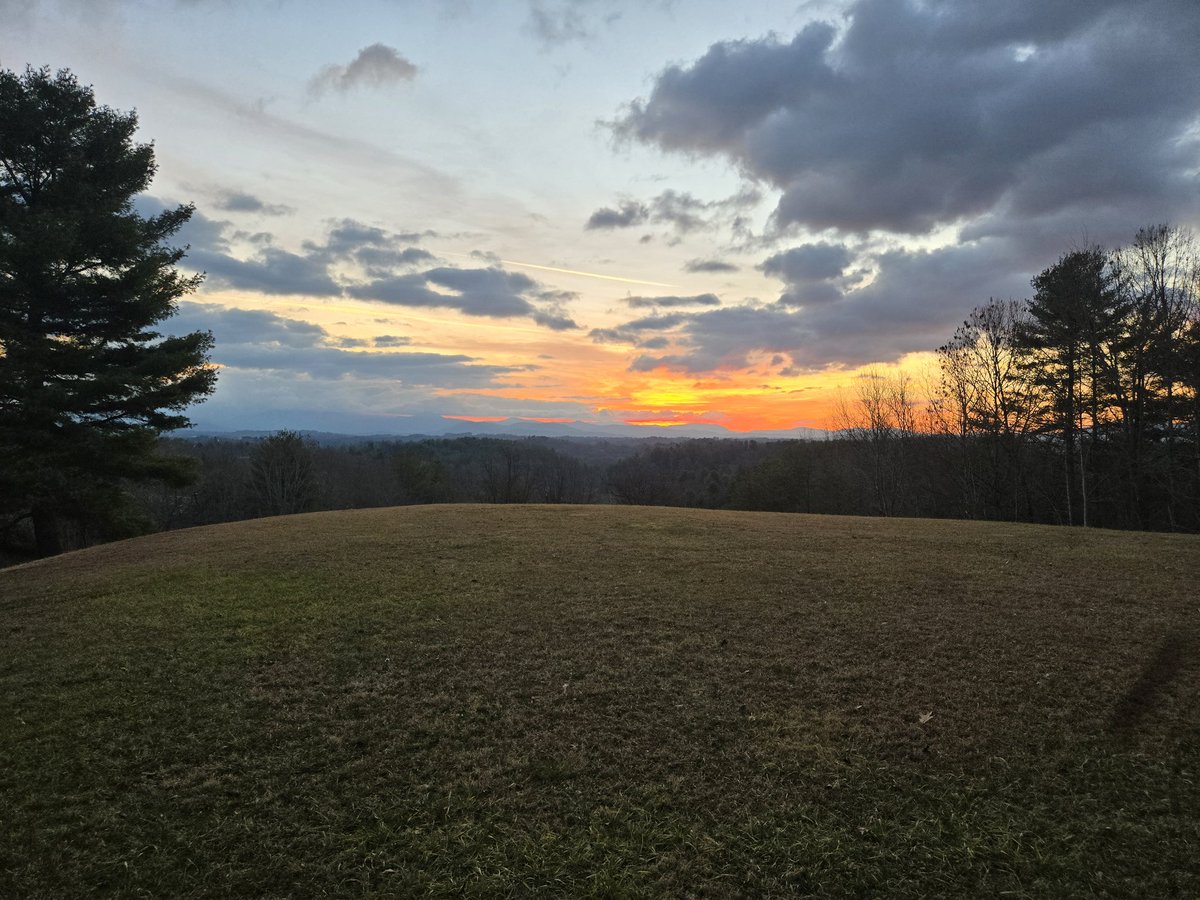 🐙 coLeK 🐙 (@mrcolek) on Twitter photo 