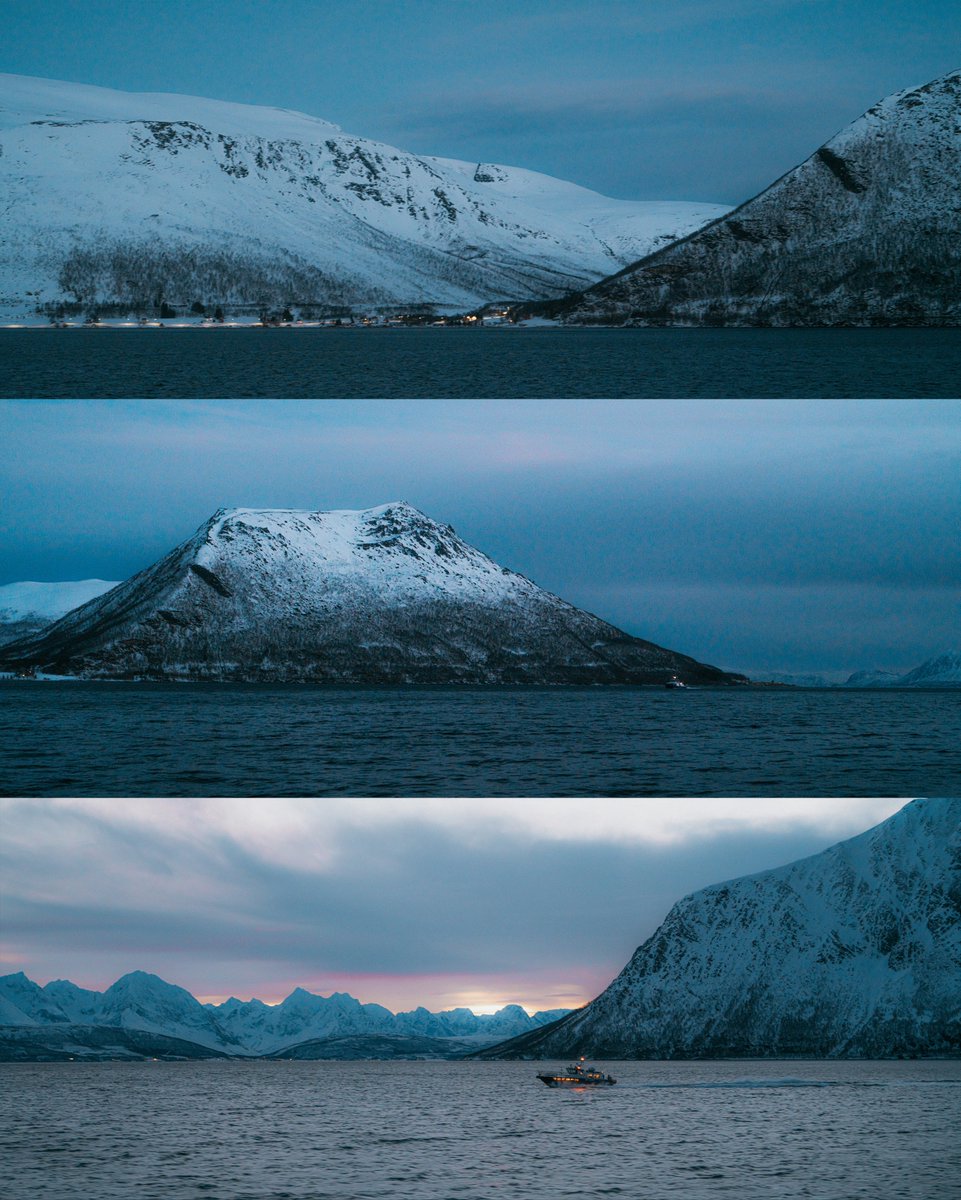 Alex Beddows tweet media