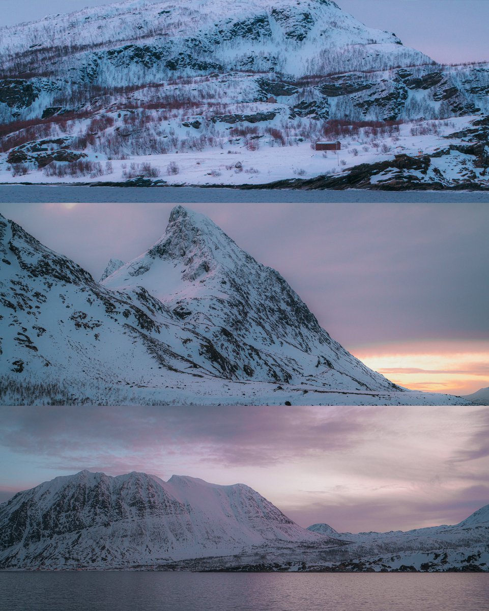 Alex Beddows tweet media