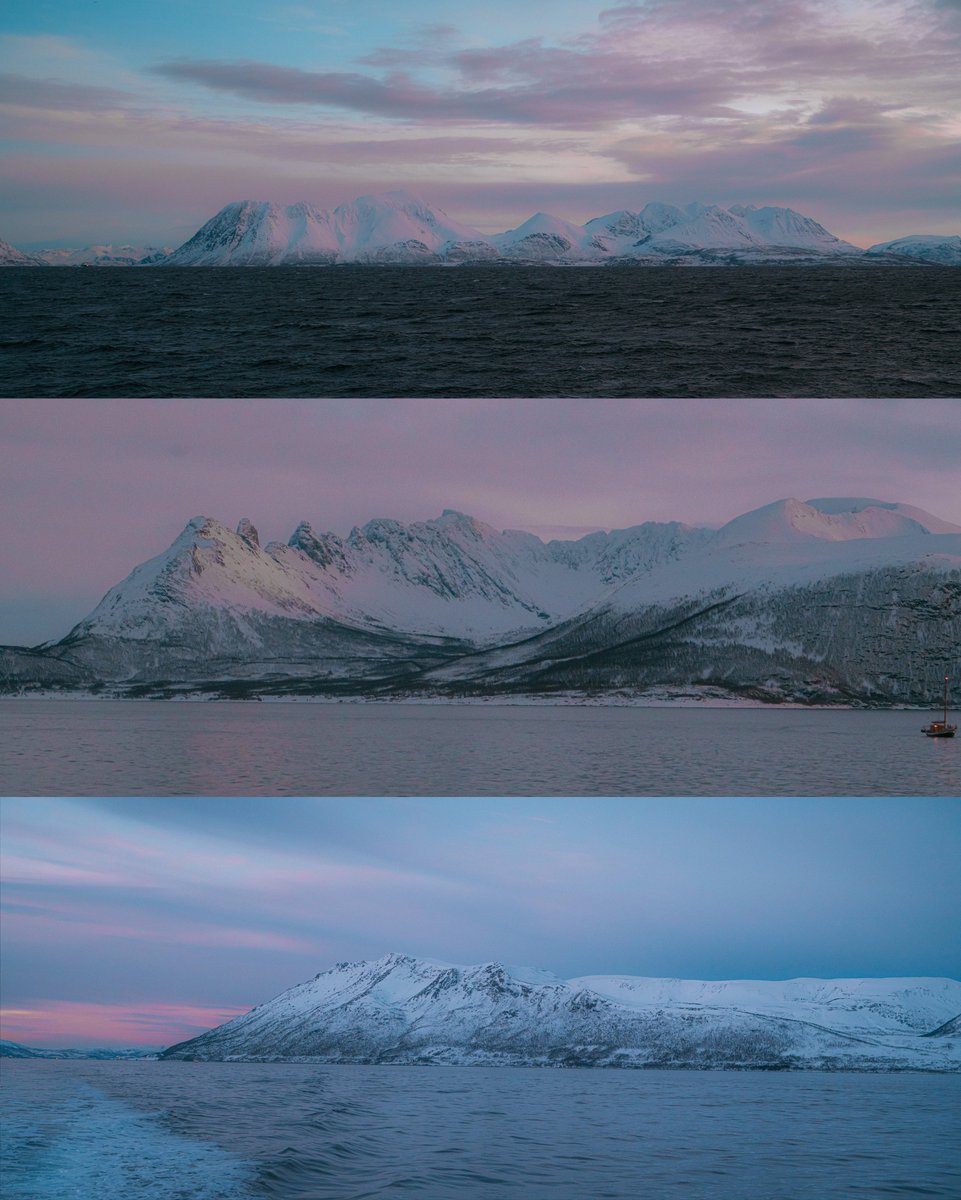 Alex Beddows tweet media