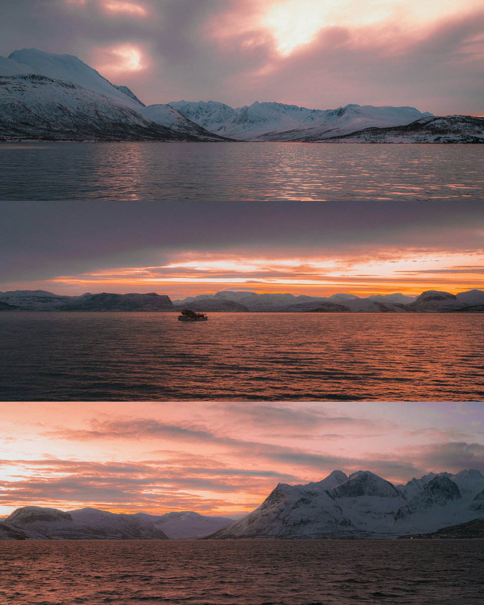 Alex Beddows tweet media