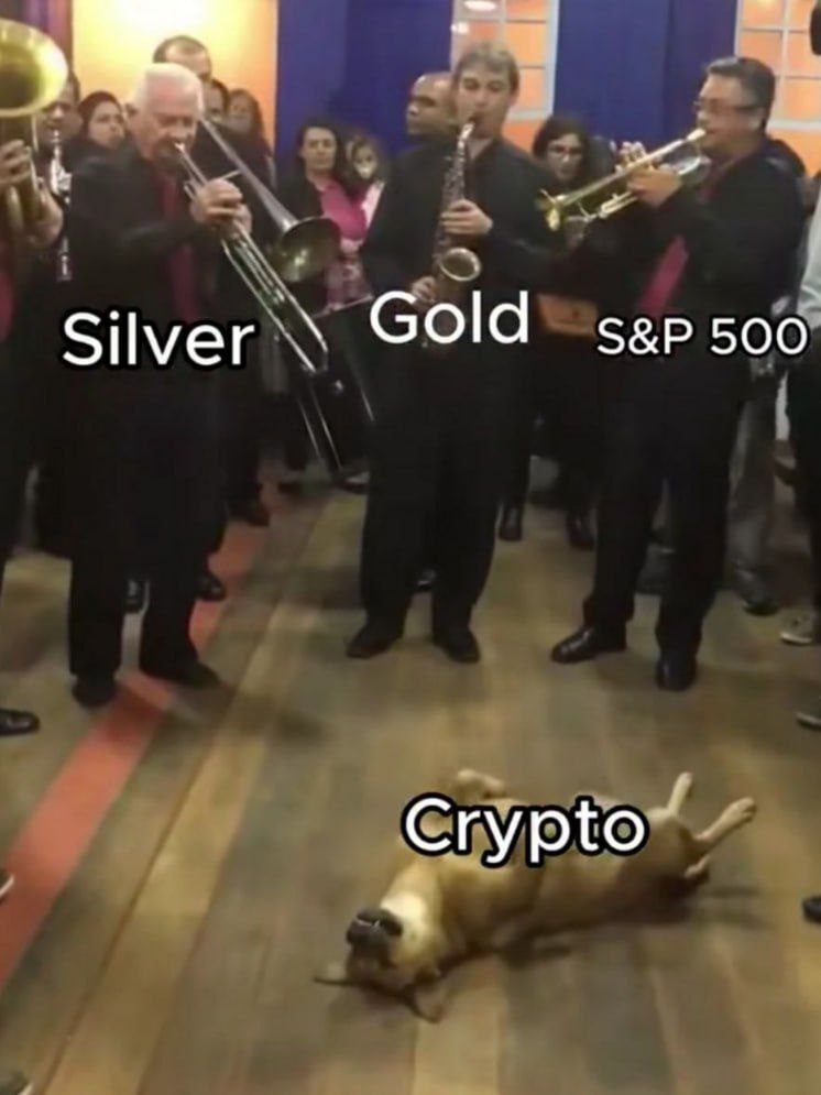 d35996's tweet photo. @BitImmortal now a days https://t.co/QCFK3pcaPs
