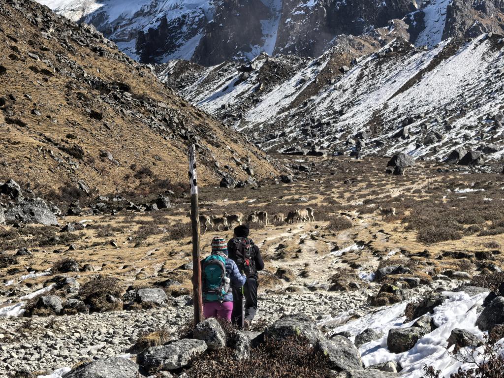 ~ ᤔᤢᤁᤢᤔ:मुकुम ~ tweet media