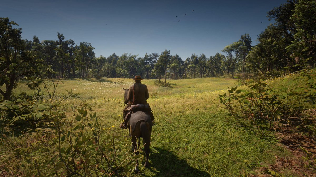 wesleytypes's tweet photo. I'm really not sure I need GTA6 when Red Dead Redemption 2 hits this hard. https://t.co/fp0hY2ILSF