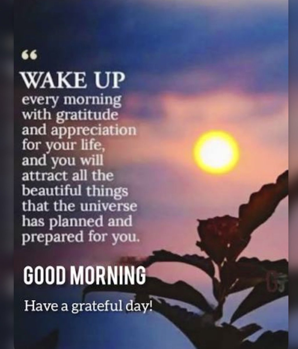 gnome_frog's tweet photo. #PositiveVibesOnly
#InspireDaily
#StayFocuse
#SuccessDriven
#KeepPushing
#LawOfAttraction
#ManifestSuccess
#NeverSettle
#MotivationNation
#WinTheDay https://t.co/za6nd5bUus