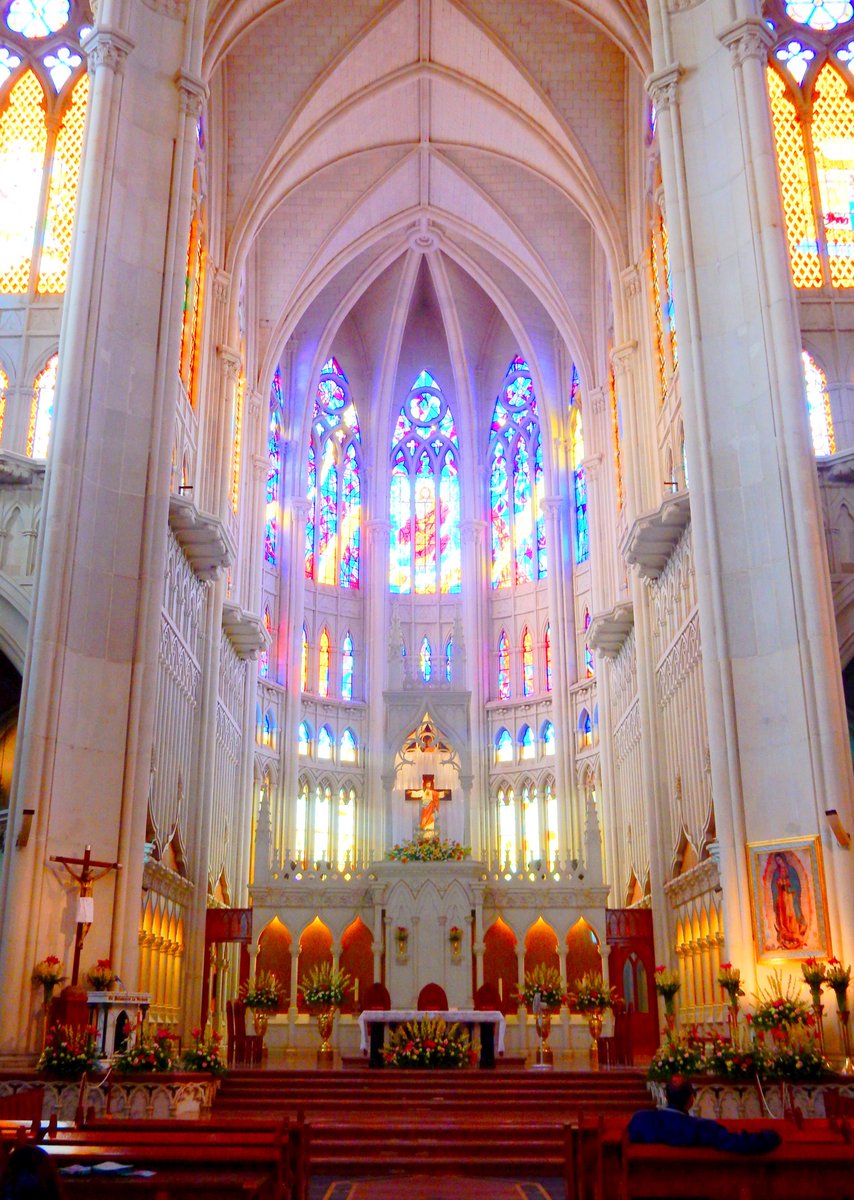 アリサ✨天使の引き寄せ占い師 tweet media