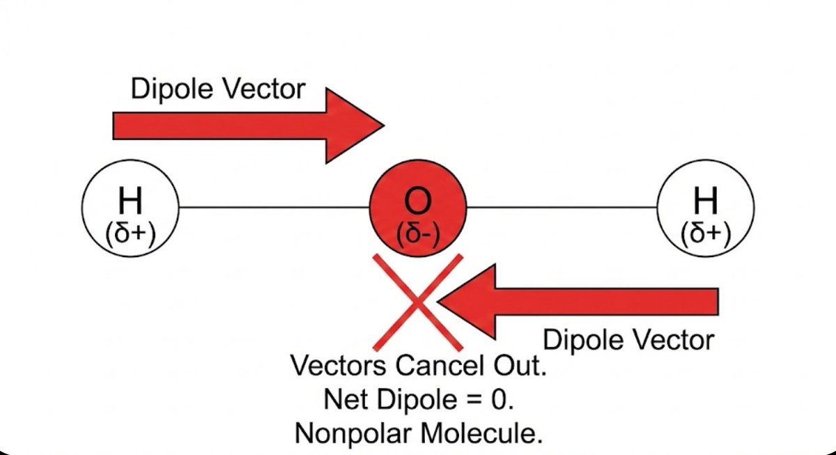 esteridium's tweet image. Si la molécula de agua fuera lineal (H-O-H), ocurriría un "empate técnico" de fuerzas. 
Un Hidrógeno tira a la izquierda y el otro a la derecha con la misma intensidad.⬅️🅾️➡️
Resultado: Se anulan. La molécula se vuelve NEUTRA (apolar), pierde su "imán" y no puede atraer a nadie.