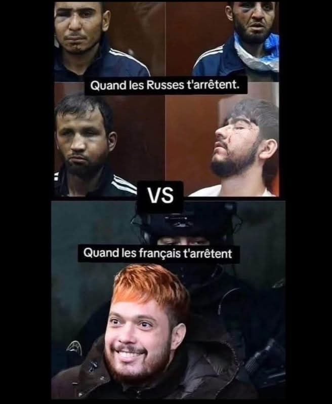 lolitazemorita's tweet image. 