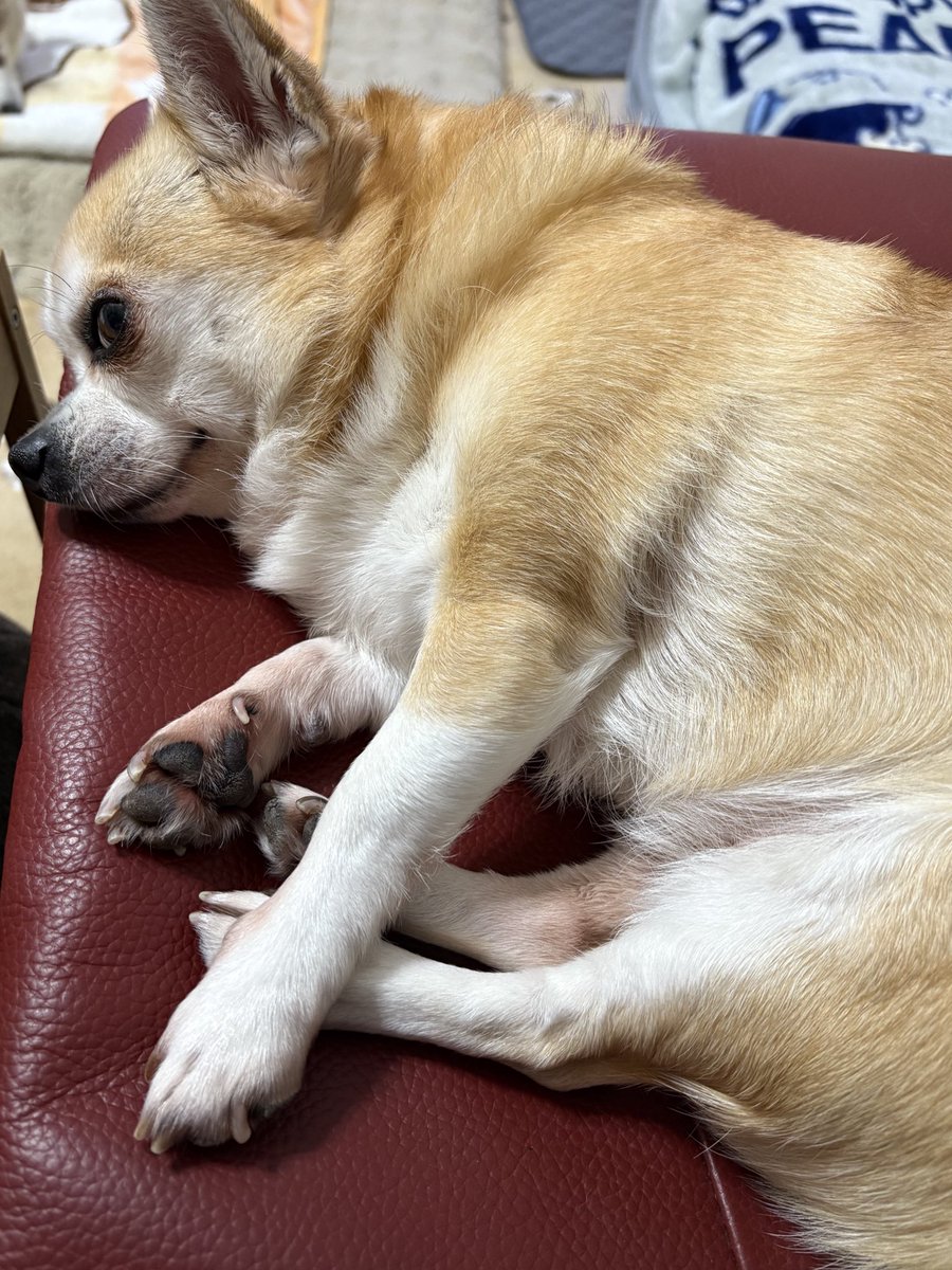 たけとら🦭 (@t_a_k_e_t_o_r_a) / Posts / X