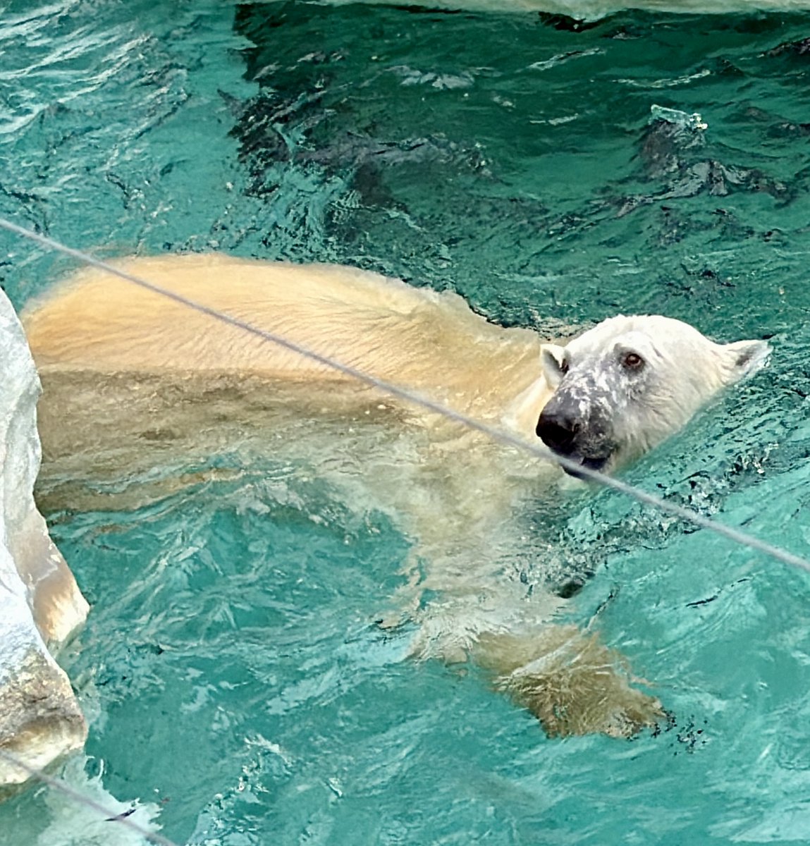 chie (@chie93730682) / Posts / X