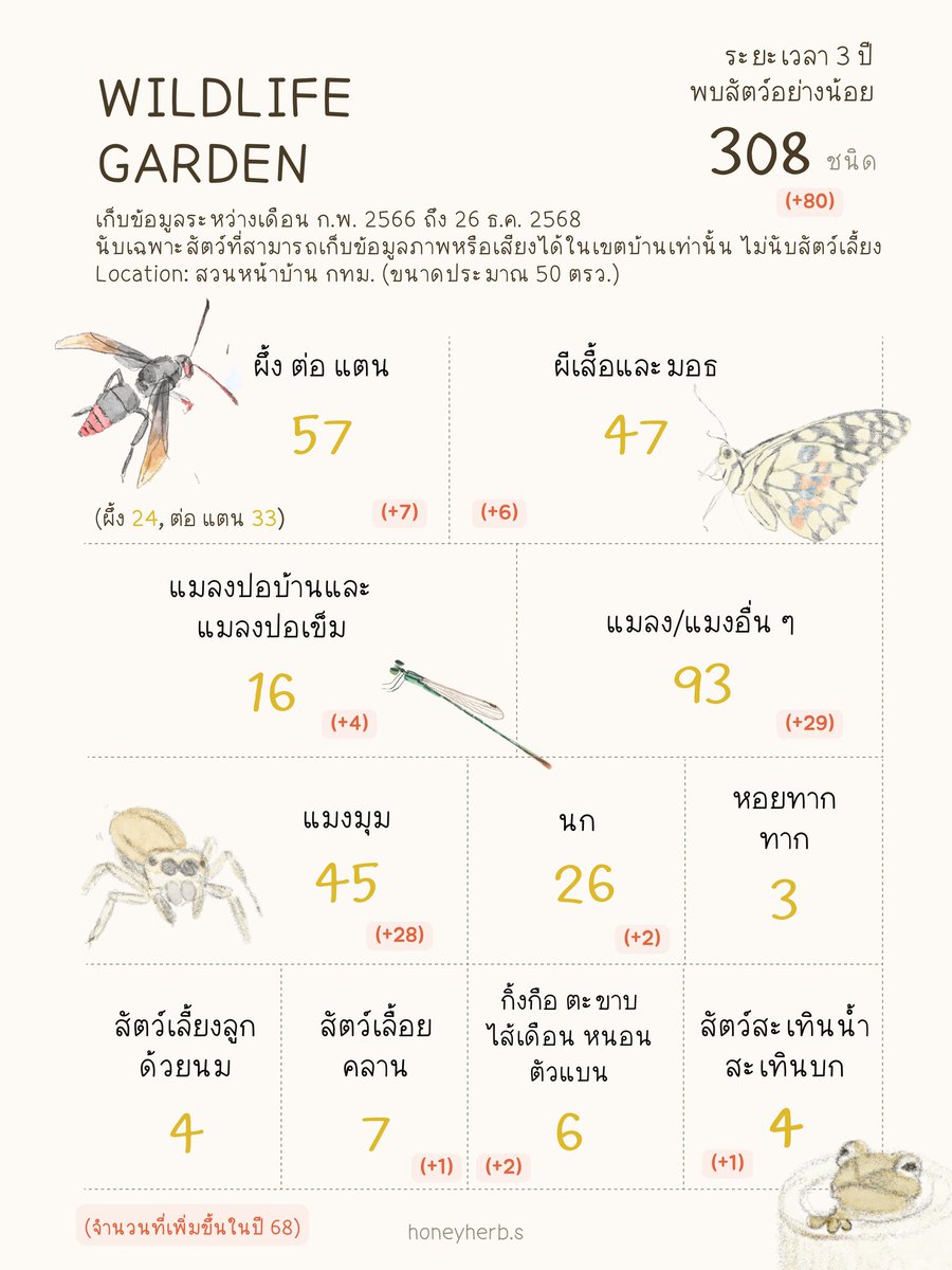 🍂 – rewilding tweet media