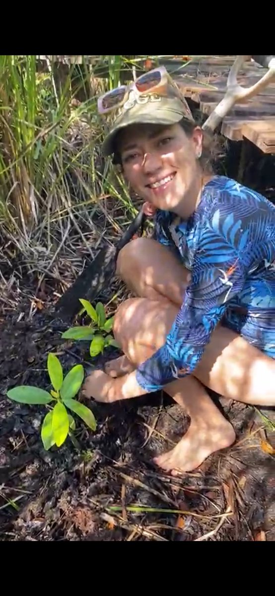 ReFi Tulum 🟢 tweet media