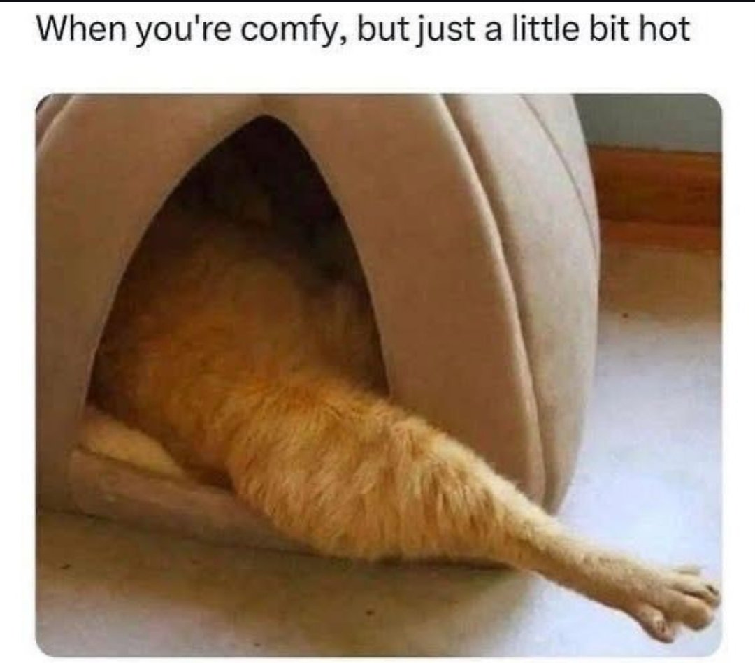 𝐄𝐑𝐈𝐊𝐀🫧 (@erikalovx) on Twitter photo 