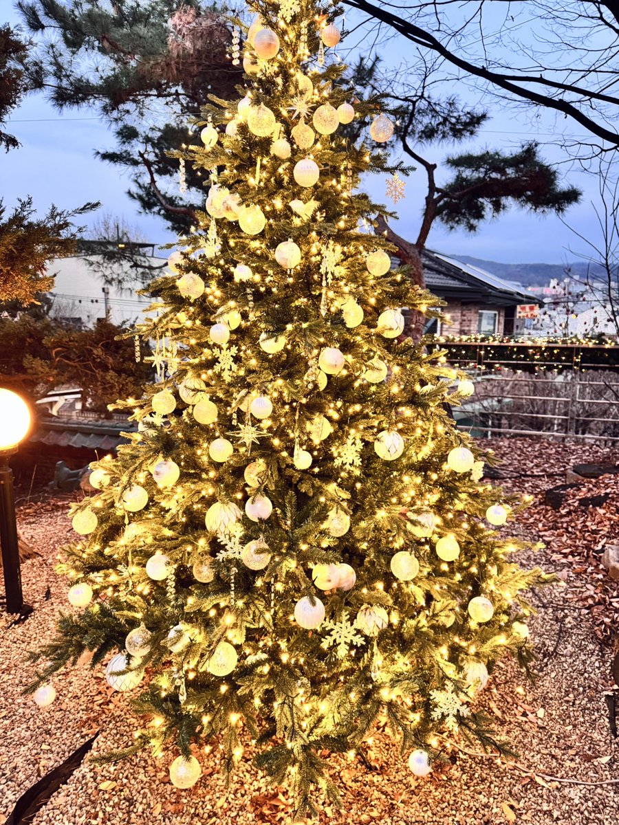 plliasterum's tweet image. 저녁의 십카페, 겨울의 십카페는 처음인데
새로운 느낌이었다
몇달만에 가서그런지 시간이 부족했어😭