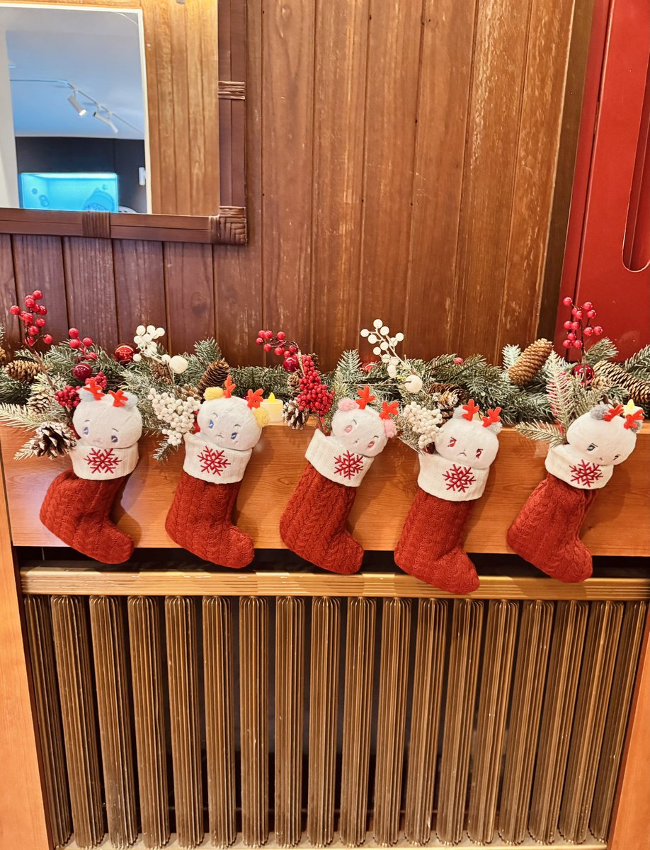 plliasterum's tweet image. 저녁의 십카페, 겨울의 십카페는 처음인데
새로운 느낌이었다
몇달만에 가서그런지 시간이 부족했어😭