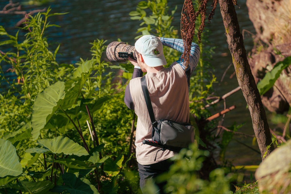 can't say I don't touch grass
