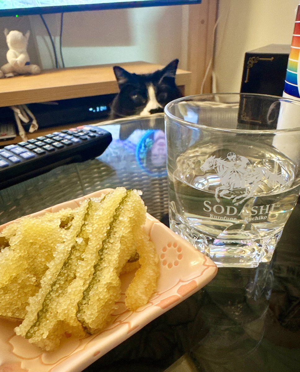 我慢できずにちょっとだけ🤏笑 最高か✌︎︎(´ °∀︎°`)✌︎︎, image size:967x1200