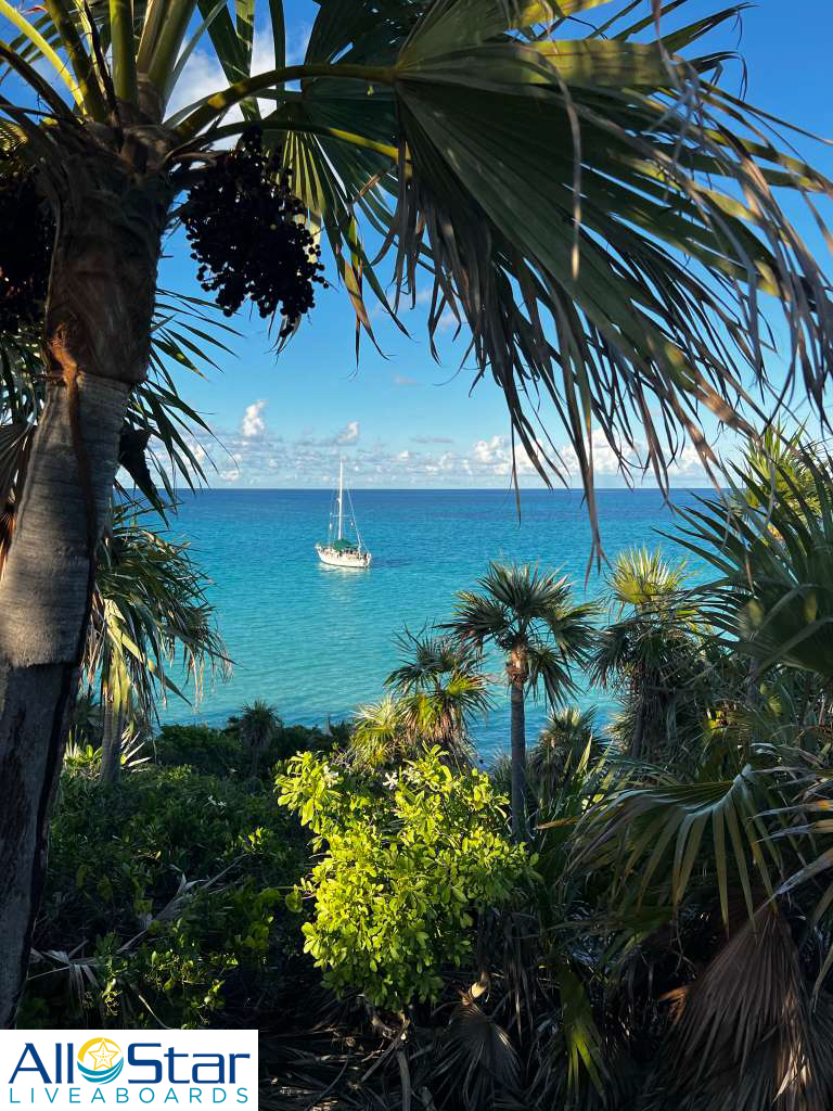 DiveASL's tweet image. Picture yourself in this postcard view! ✉️📫

~Blackbeard's Cruises, The Bahamas

#allstarliveaboards #blackbeardscruises #sailboat #postcard #bahamas #caribbean #scuba #liveaboard #buceo #bahamasdiving #pictureperfect #diverlife #ilovediving