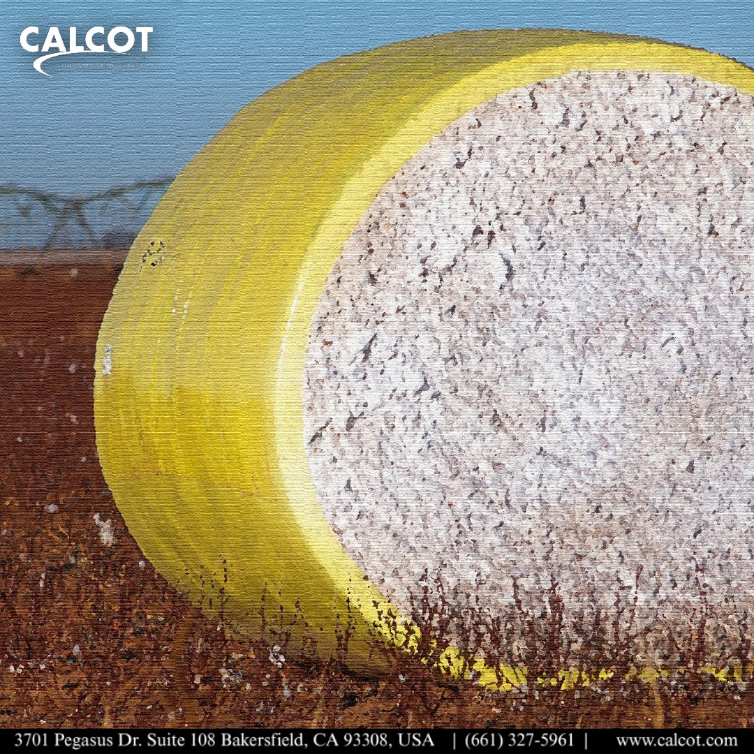 Here’s to a successful 2025 and a bright 2026! 
Join Calcot to grow with us at calcot.com/join. 

#CottonFuture #CalcotCoop #CoopFamily