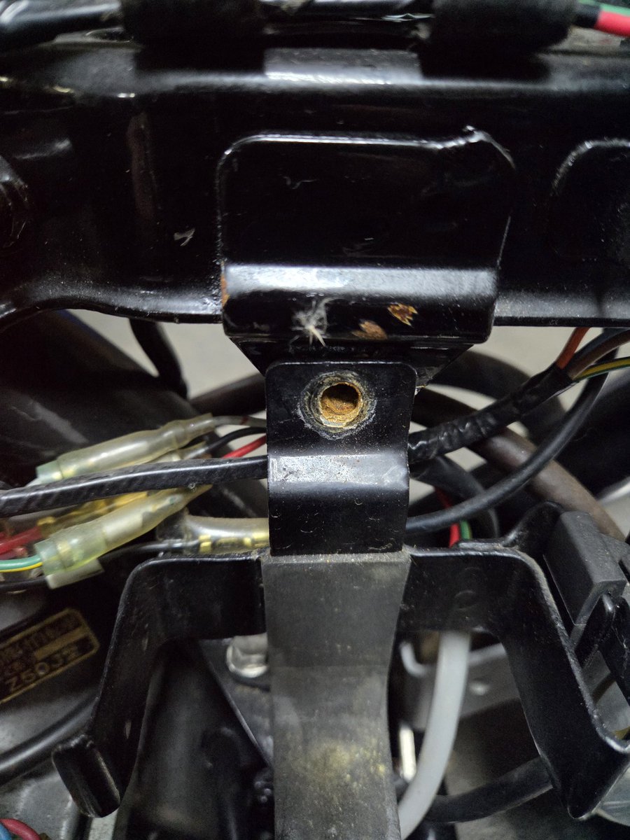 自由人.masa.🗝️ tweet media