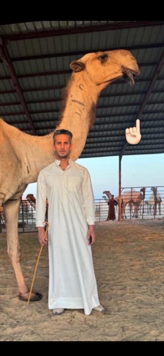 مبروك يا بو مبارك 
<a href="/addndr/">عبدالله الدبوس 785</a> 
ما احتزمت بمحزمٍ هيّن وبايد محتزم باللي يرد القوم جدّه
<a href="/bn_jkdb/">فهد بن فهاد بن جخدب</a> 
<a href="/Bnjkdb/">محمد بن فهاد بن جخدب</a>