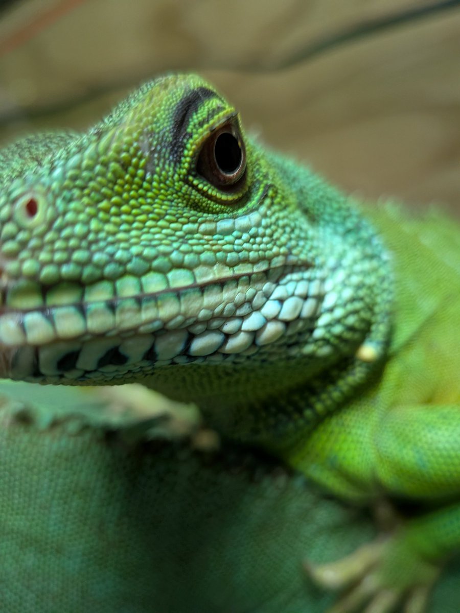 本日も平和でした。