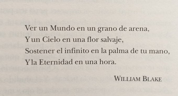 literland (@literlandweb1) on Twitter photo 