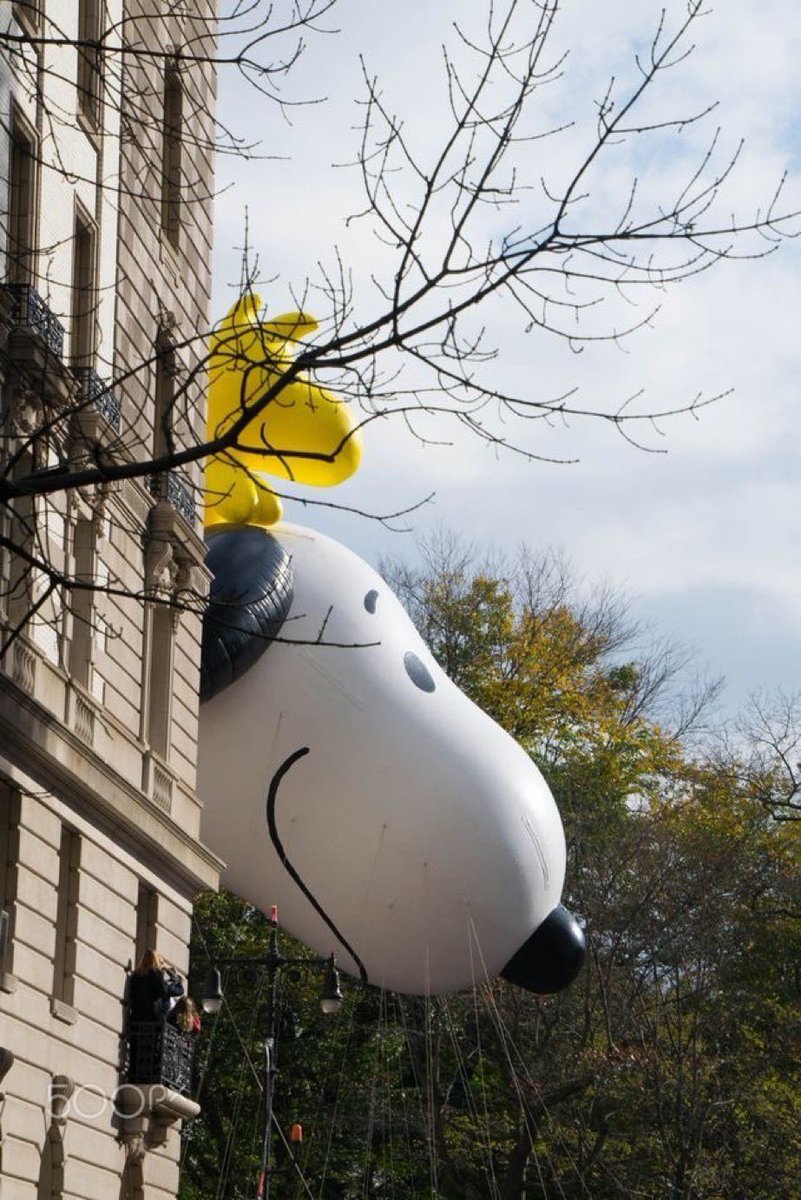 snoopy lover (@snoopyfever_) on Twitter photo 