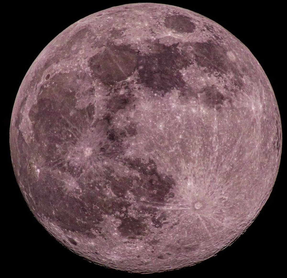 fairyprxncess's tweet image. pink moon
