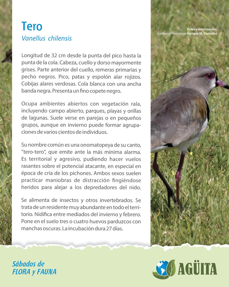 Sábados de flora y fauna!