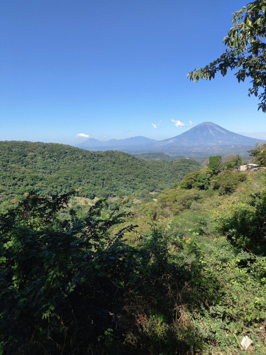 Alex Hasbun tweet media