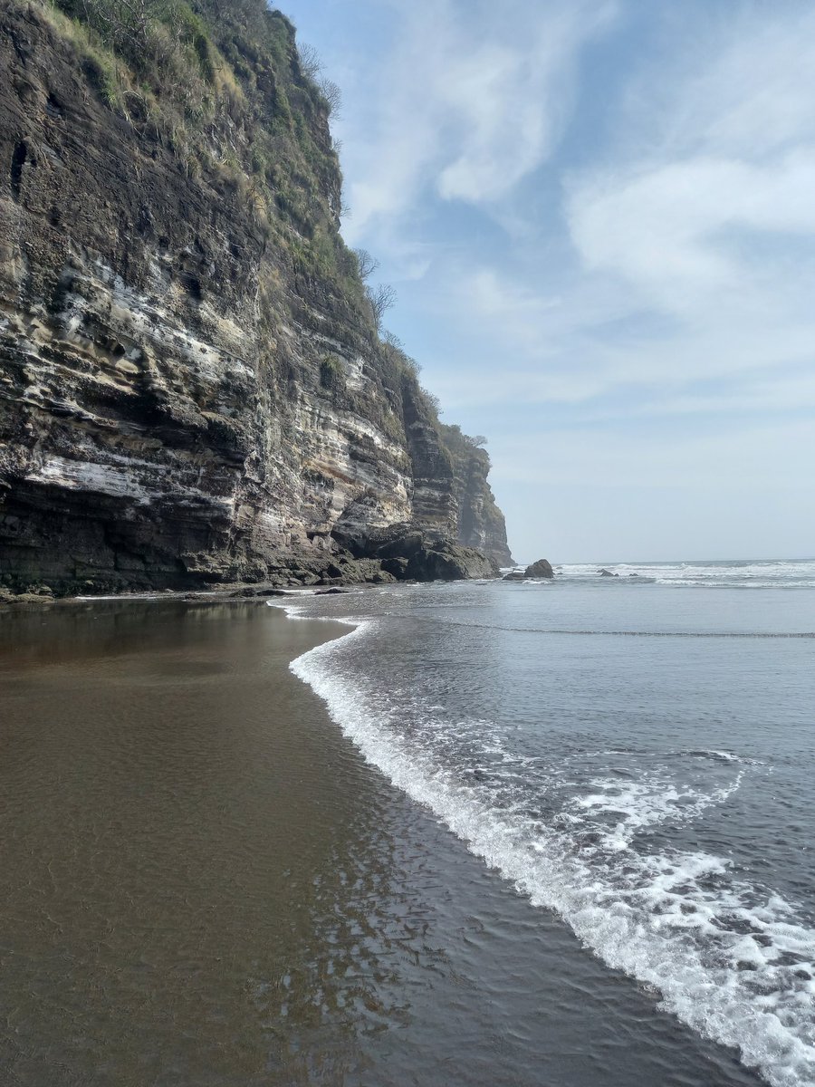 Alex Hasbun tweet media