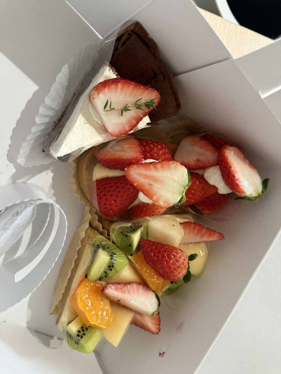 でぶ猫 tweet media