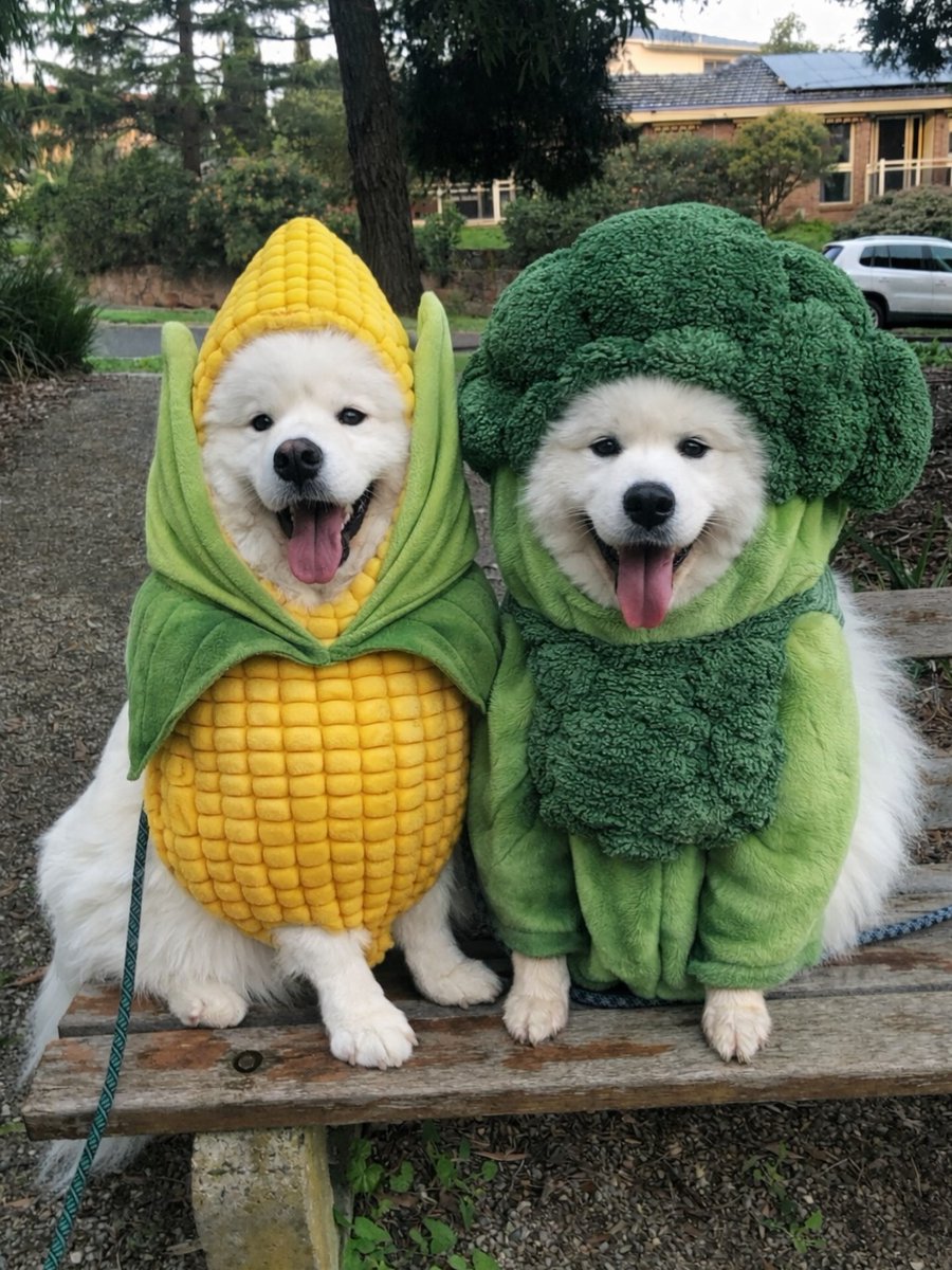 dogs so cute that could save the world tweet media