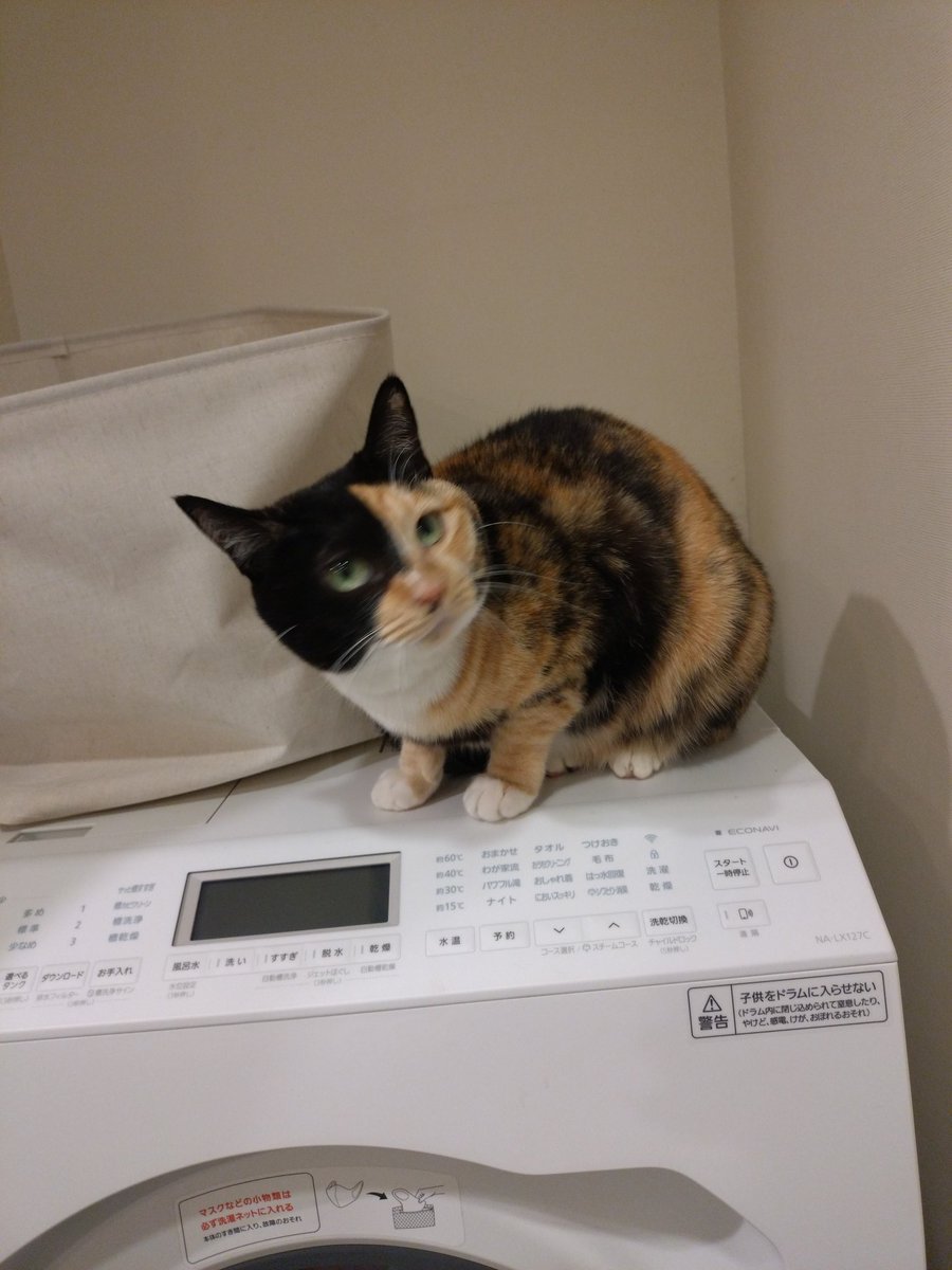 rambda's tweet image. 