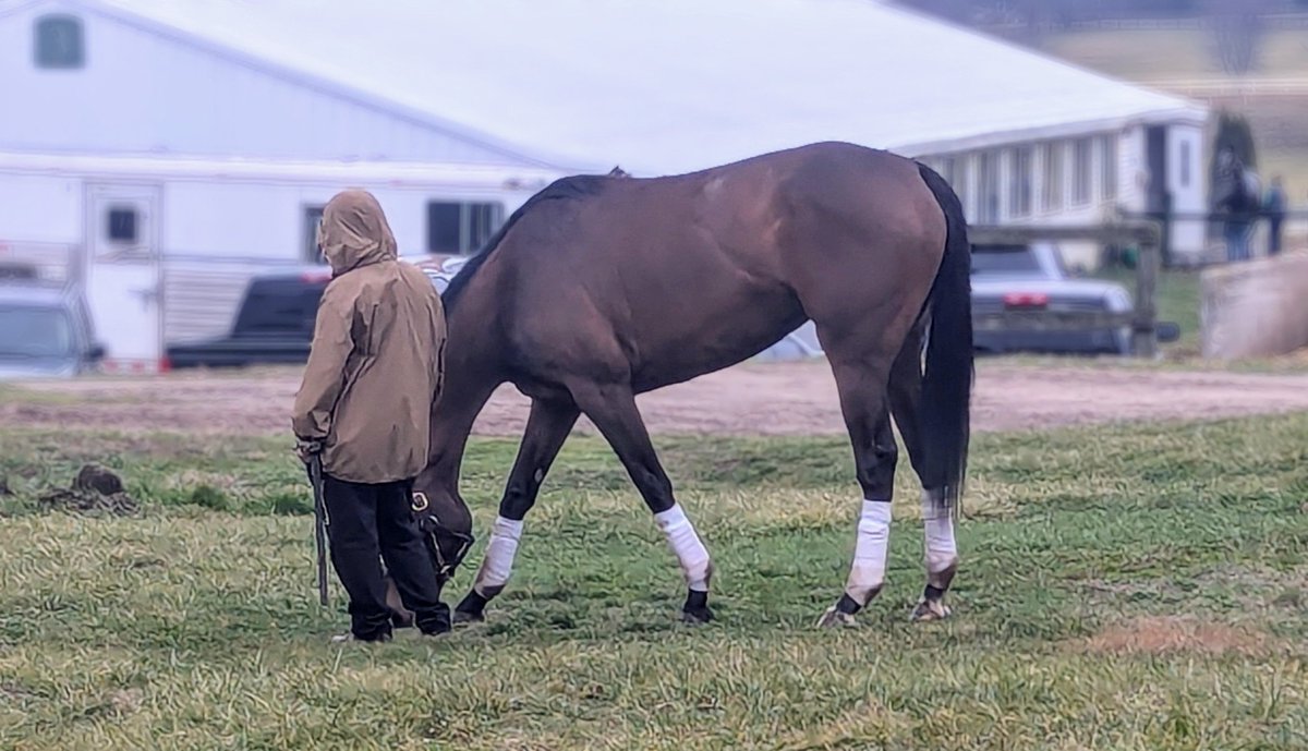 TK Kuegler tweet media