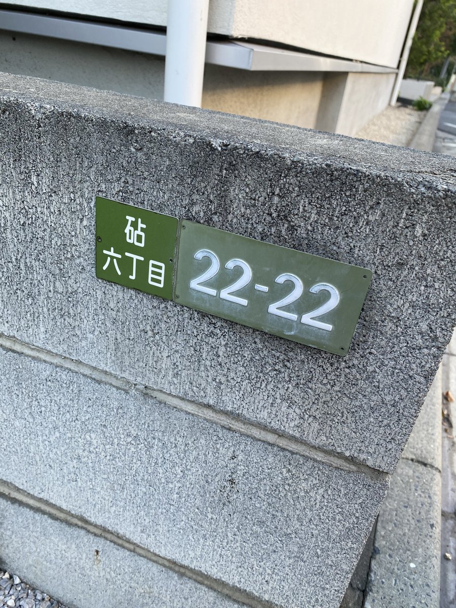 にゃんにゃーん^ ̳ᴗ ̫ ᴗ ̳^🎶