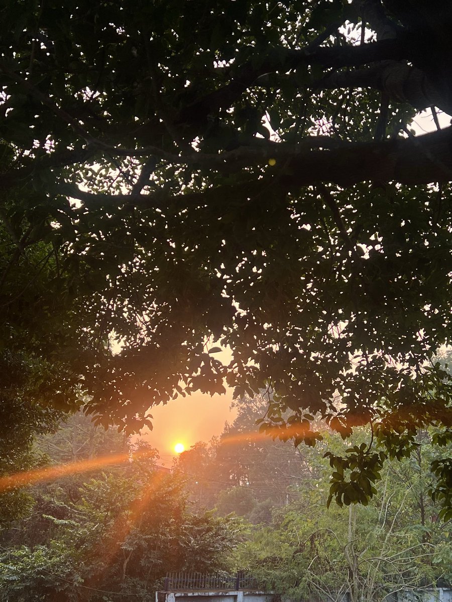 asase_art's tweet image. Few anecdotes can be so enlightening…
for a simple day like Saturday
An excuse earlier now a souvenir 
Motivation is not what I look for
Capturing paintings made by the creator becomes a process…
#poetrycommunity #inlove