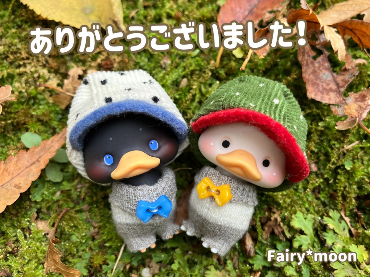 お求め頂きました皆様に心からの感謝を✨

飾りをつけて帽子をアレンジしていただいても良いと思いますし。
Moaちゃんと共に過ごす時間にお邪魔させていただけたら幸せです。
素敵なイベントに参加させていただきまして、ありがとうございました。