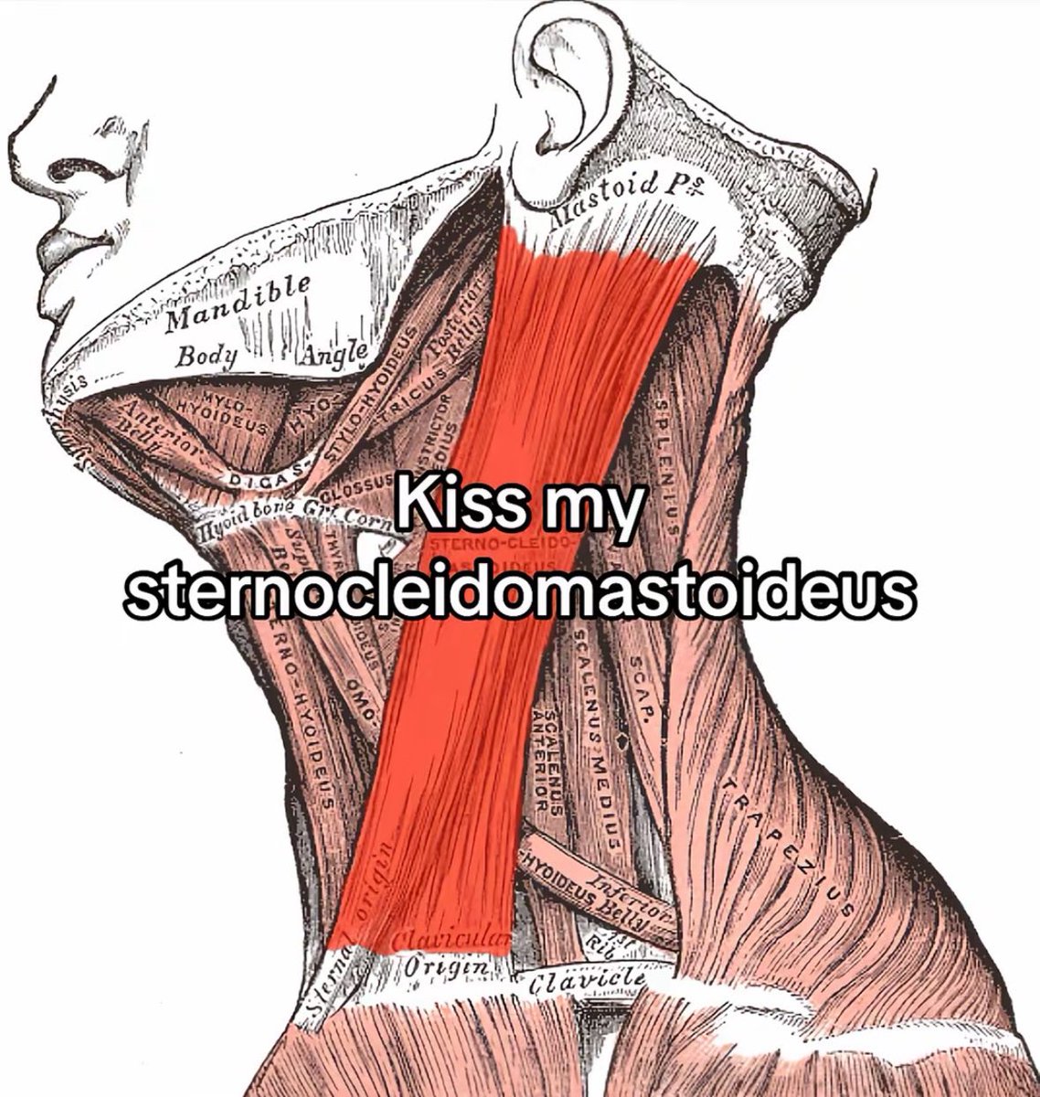 jenyeonluviy's tweet image. 