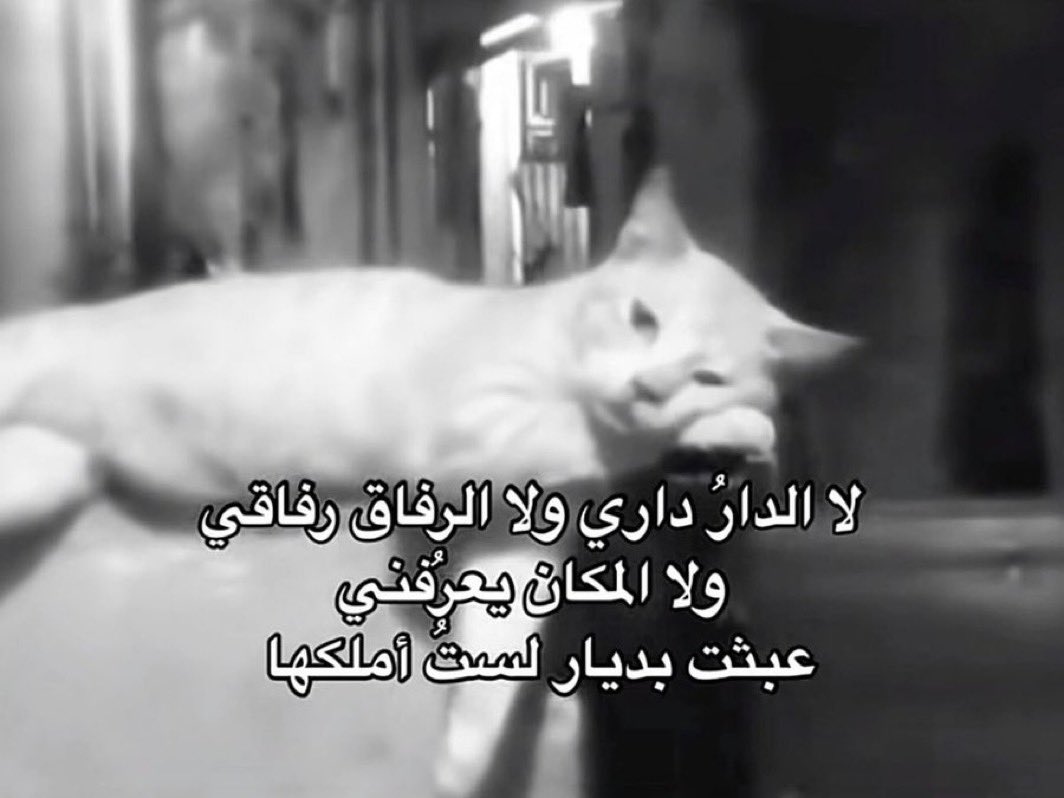 6lll_s's tweet photo. https://t.co/sri3Gh5oIf