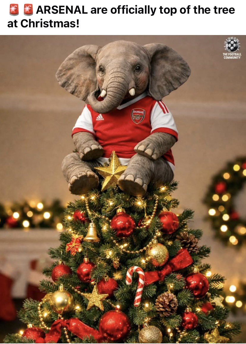 Kevin Brauch tweet media