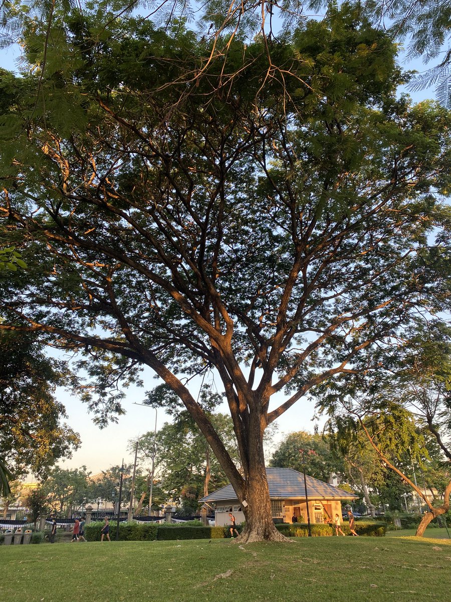 anness 🧷 tweet media